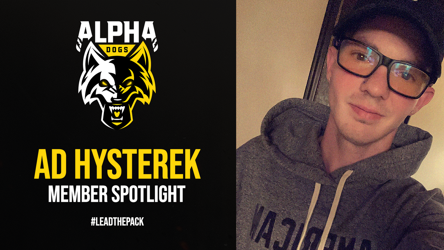 SPOTLIGHT SERIES: HYSTEREK